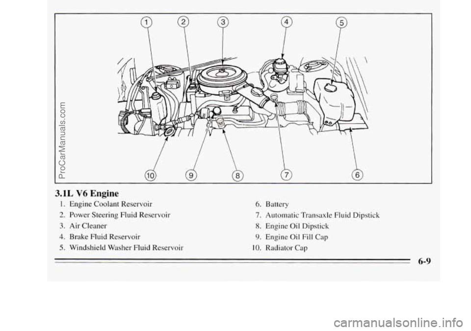 OLDSMOBILE SILHOUETTE 1995 Owners Manual 3.1L V6 Engine
1. Engine Coolant Reservoir
2. Power Steering Fluid Reservoir
3. Air Cleaner
4. Brake Fluid Reservoir
5. Windshield Washer Fluid Reservoir
6. Battery
7. Automatic Transaxle Flui OLDSMOBILE SILHOUETTE 1995 Owners Manual 3.1L V6 Engine
1. Engine Coolant Reservoir
2. Power Steering Fluid Reservoir
3. Air Cleaner
4. Brake Fluid Reservoir
5. Windshield Washer Fluid Reservoir
6. Battery
7. Automatic Transaxle Flui