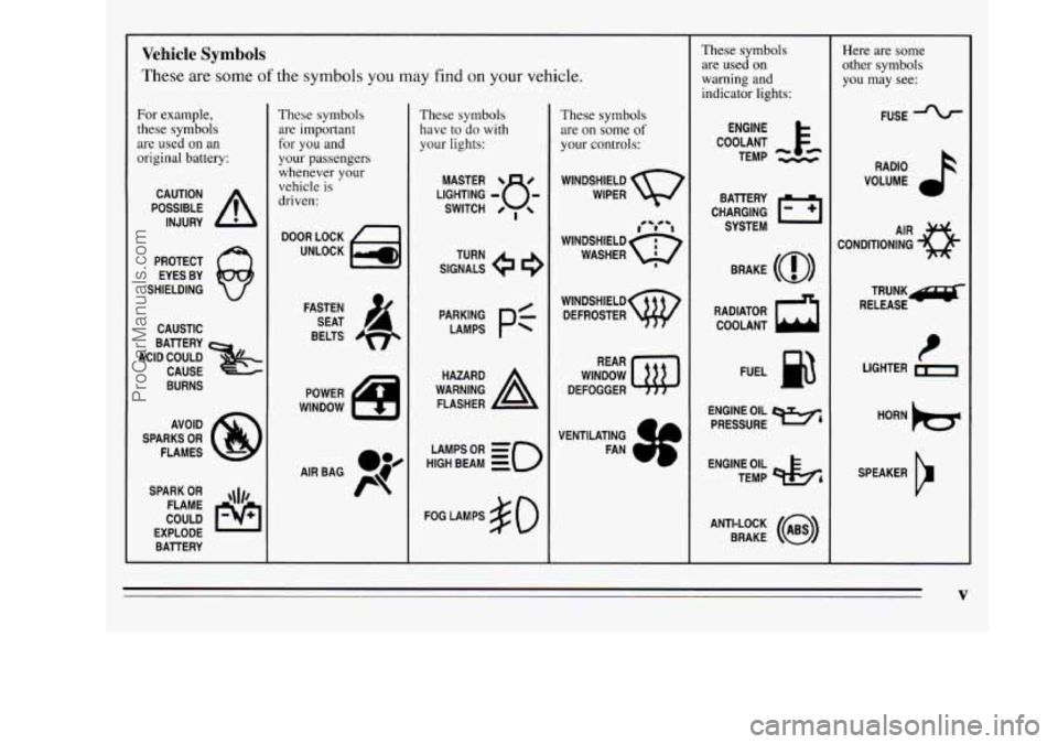 OLDSMOBILE SILHOUETTE 1995  Owners Manual L 
Vehicle Symbols 
These  are  some of the  symbols you may find  on your  vehicle. 
For example, 
these symbols are  used  on an 
original battery: 
POSSIBLE A 
CAUTION 
INJURY 
PROTECT  EYES  BY 
S