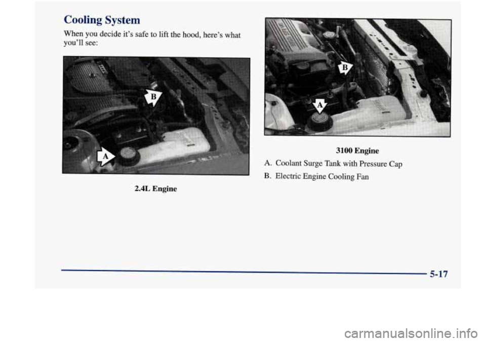 Oldsmobile Achieva 1998  Owners Manuals Cooling System 
When YOU decide it’s safe  to lift the hood, here’s what 
you’ll see: 
2.4L Engine 
3100 Engine 
A. Coolant  Surge Tank with Pressure Cap 
B. Electric  Engine  Cooling Fan 
5-17 