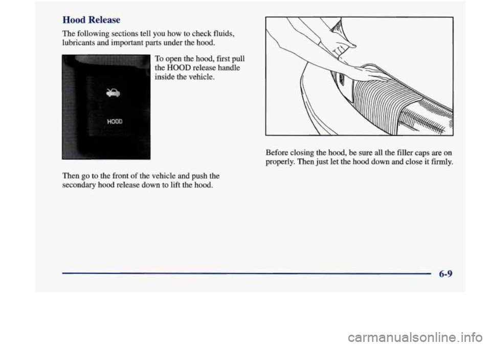 Oldsmobile Achieva 1998  Owners Manuals Hood Release 
The  following  sections  tell you how to  check  fluids, 
lubricants  and imnortant 
 arts under  the hood. 
To  open  the  hood, first  pull 
the 
HOOD release  handle 
inside  the  ve