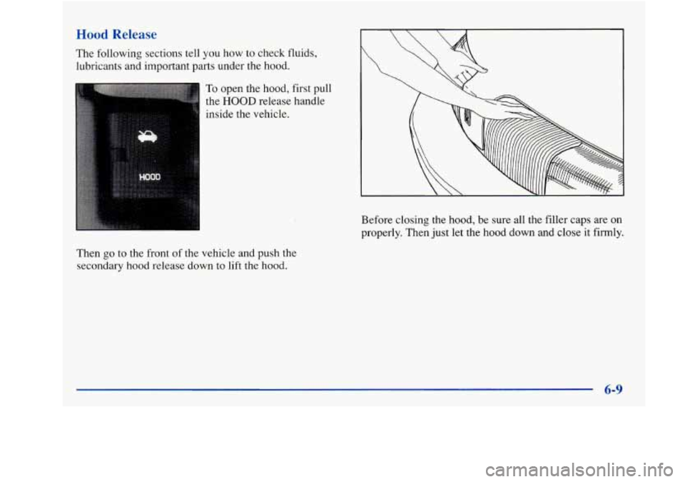 Oldsmobile Achieva 1997  Owners Manuals Hood Release 
The  following  sections tell you how to check  fluids, 
lubricants  and important  parts  under the hood. 
To open the hood,  first pull 
the 
HOOD release  handle 
inside  the  vehicle