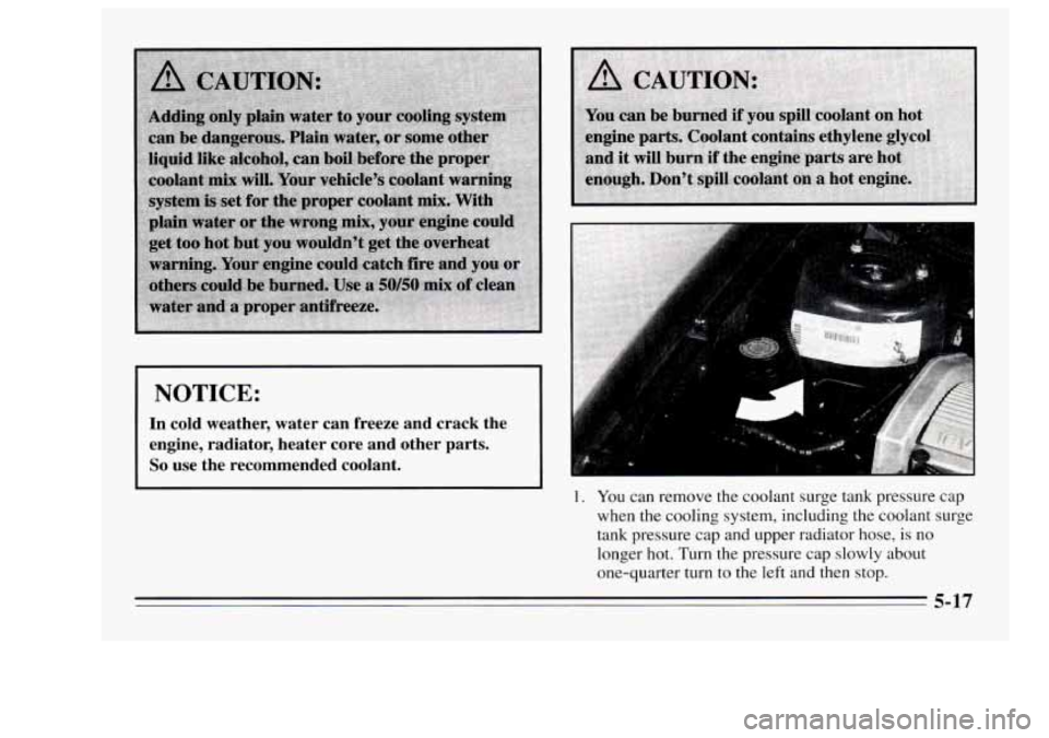 Oldsmobile Achieva 1995  Owners Manuals NOTICE: 
In  cold  weather,  water  can  freeze  and  crack  the 
engine,  radiator,  heater  core  and  other  parts. 
So use  the  recommended  coolant. 
1. You can  remove  the coolant  surge tank 