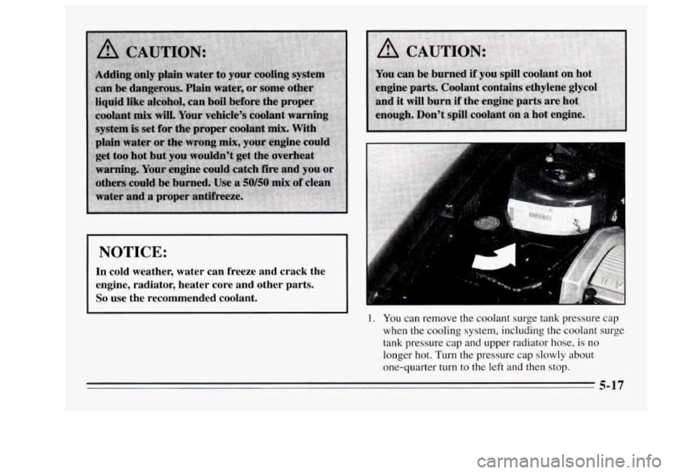 Oldsmobile Achieva 1995  Owners Manuals NOTICE: 
In  cold  weather,  water  can  freeze  and  crack  the 
engine,  radiator,  heater  core  and  other  parts. 
So use  the  recommended  coolant. 
1. You can  remove  the coolant  surge tank 