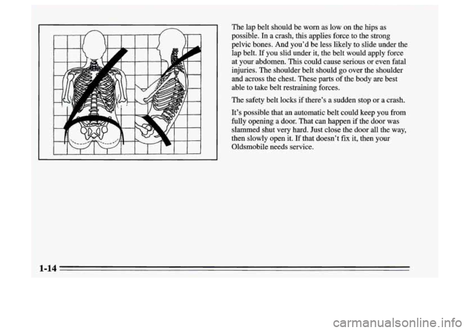 Oldsmobile Achieva 1995  s Owners Guide The  lap belt should  be worn as  low on the  hips  as 
possible. 
In a crash,  this  applies force  to  the strong 
pelvic  bones.  And you’d  be less  likely  to  slide  under the 
lap  belt. 
If 