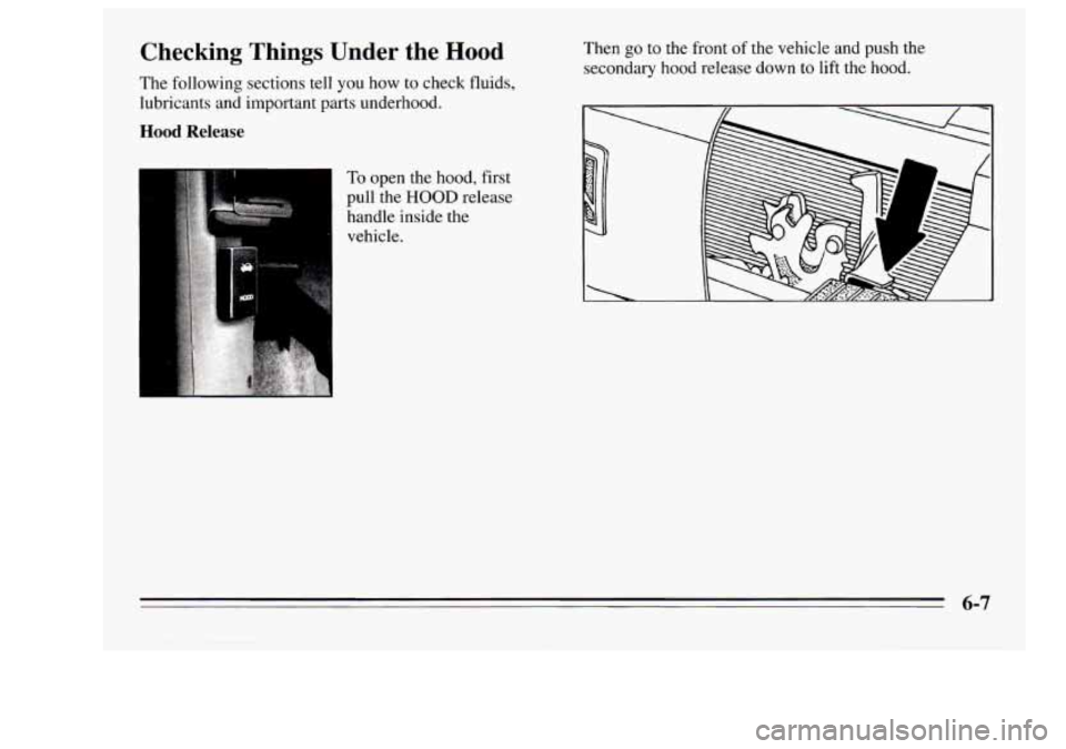 Oldsmobile Achieva 1995 Owners Manuals Checking Things Under the Hood
The following sections tell you how to check fluids,
lubricants and important parts underhood.
Hood Release
To open the hood, first
pull the
HOOD rele Oldsmobile Achieva 1995 Owners Manuals Checking Things Under the Hood
The following sections tell you how to check fluids,
lubricants and important parts underhood.
Hood Release
To open the hood, first
pull the
HOOD rele