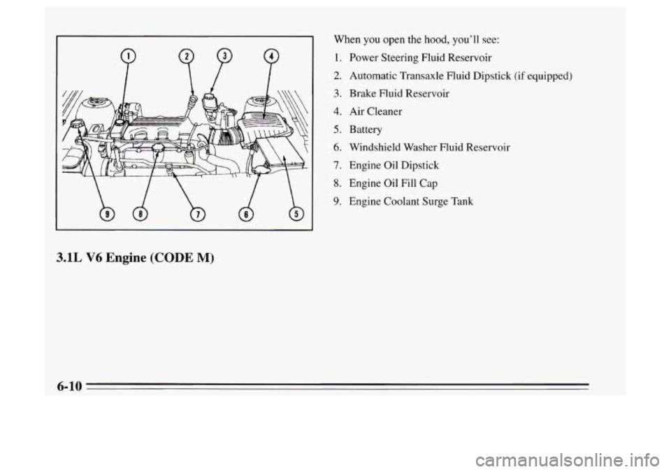 Oldsmobile Achieva 1995  s User Guide P P P 
3.1L V6 Engine (CODE M) 
When you open the hood, you’ll  see: 
1. 
2. 
3. 
4. 
5. 
6. 
7. 
8. 
9. 
Power  Steering  Fluid Reservoir 
Automatic Transaxle Fluid Dipstick  (if equipped) 
Brake  