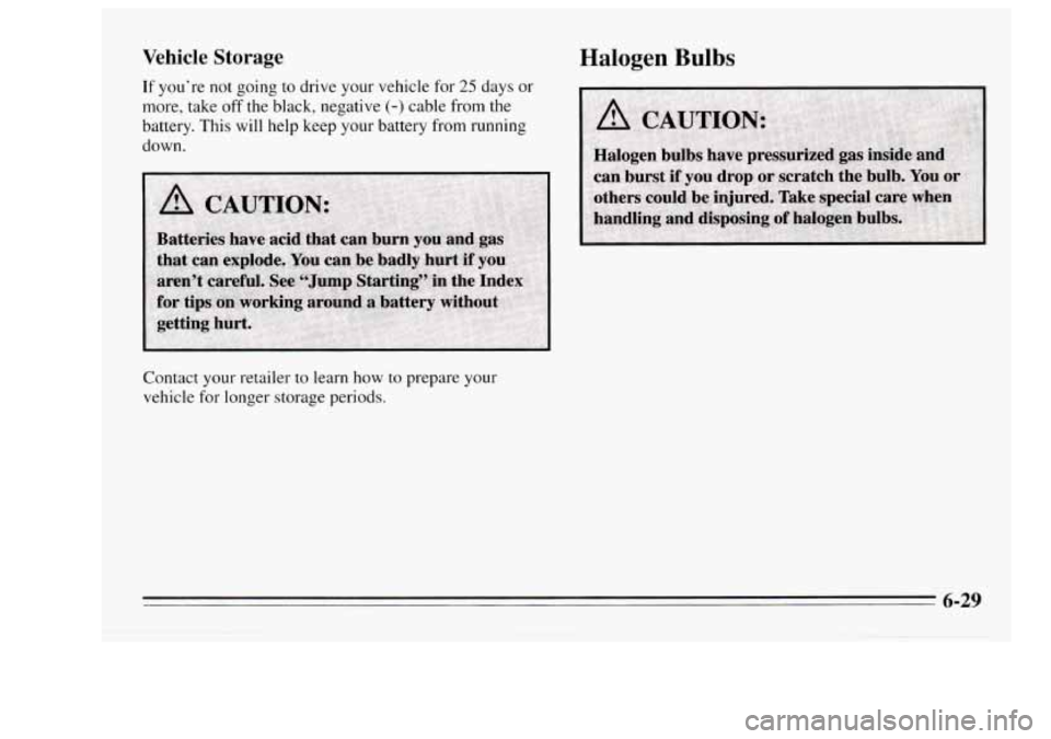 Oldsmobile Achieva 1995  s Owners Guide Vehicle Storage 
If you’re  not going to drive  your  vehicle  for 25 days or 
more, take  off the  black,  negative (-) cable  from  the 
battery.  This will help  keep  your battery 
from running 