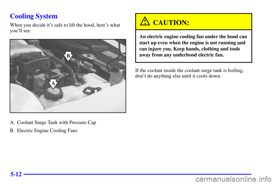 Oldsmobile Alero 2000  Owners Manuals 5-12
Cooling System
When you decide its safe to lift the hood, heres what
youll see:
A. Coolant Surge Tank with Pressure Cap
B. Electric Engine Cooling Fans
CAUTION:
An electric engine cooling fan 