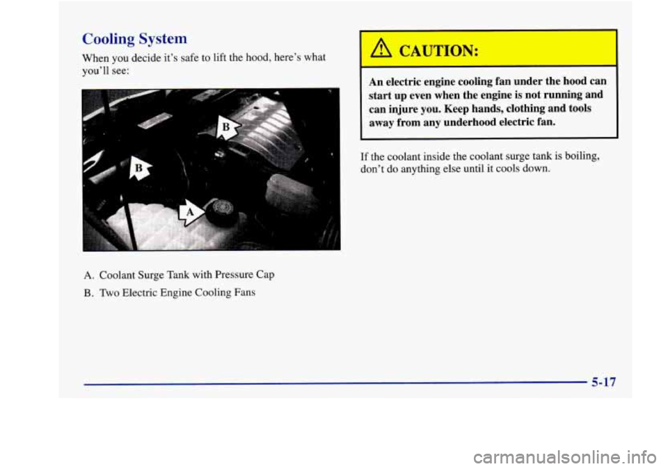 Oldsmobile Aurora 1998  Owners Manuals Cooling  System 
When you decide  its  safe  to lift  the  hood,  heres  what 
youll  see: 
B 
A. Coolant  Surge Tank with Pressure  Cap 
B. Two Electric  Engine  Cooling Fans 
% CAUT IN: 
An elect