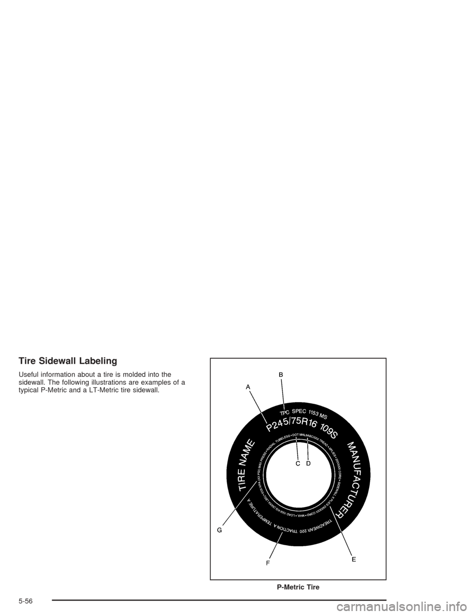 Oldsmobile Bravada 2004  Owners Manuals Tire Sidewall Labeling
Useful information about a tire is molded into the
sidewall. The following illustrations are examples of a
typical P-Metric and a LT-Metric tire sidewall.
P-Metric Tire
5-56 