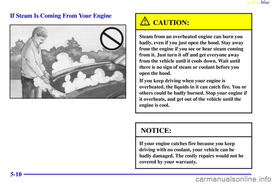 Oldsmobile Cutlass 1999  Owners Manuals yellowblue     
5-10 If Steam Is Coming From Your Engine
CAUTION:
Steam from an overheated engine can burn you
badly, even if you just open the hood. Stay away
from the engine if you see or hear steam