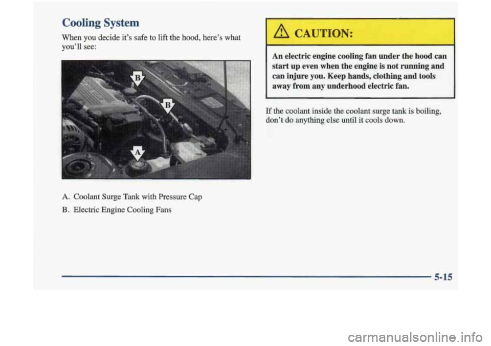 Oldsmobile Cutlass 1998  s Service Manual Cooling  System 
When  you  decide  it’s safe to lift  the  hood,  here’s  what 
you’ll  see: 
A Coolant  Surge Tank with  Pressure  Cap 
B. Electric  Engine  Cooling  Fans 
1 
Ik I 
/!II CAUTIO