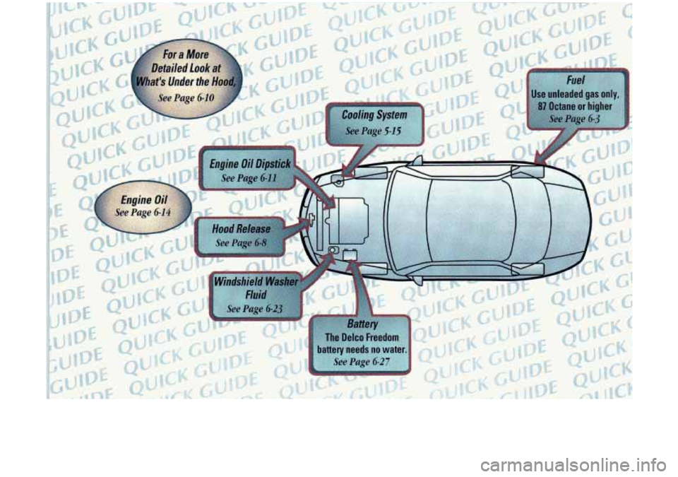 Oldsmobile Cutlass 1998  Owners Manuals Hood Release 
See Page 6-8 
fuel  