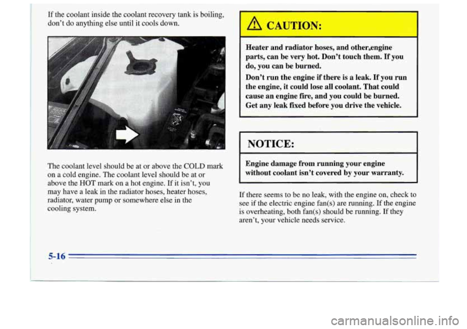 Oldsmobile Cutlass Supreme 1996  Owners Manuals j If the  coolant  inside  the  coolant  recovery  tank is boiling, 
don’t  do  anything 
else until  it cools  down. 
.. - ”r -+ 
Heater  and  radiator  hoses, and  otherengine 
parts,  can  be  