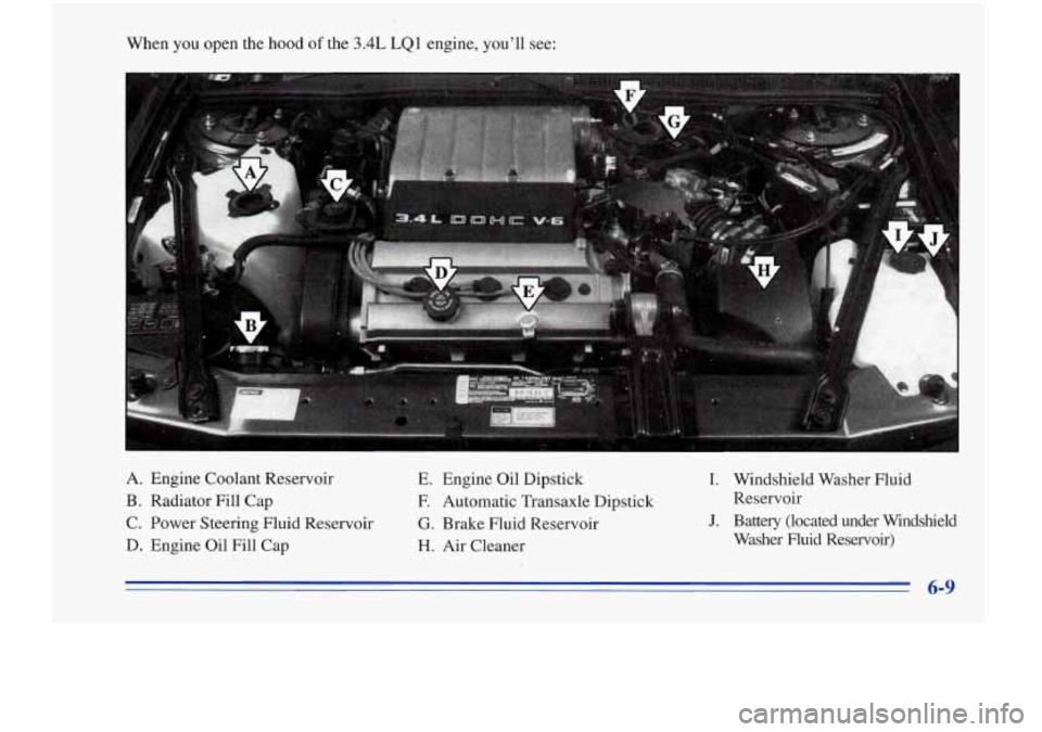 Oldsmobile Cutlass Supreme 1996  Owners Manuals When  you  open the hood of the 3.4L LQ 1 engine,  youll see: 
A.  Engine  Coolant  Reservoir 
B.  Radiator  Fill  Cap 
C.  Power  Steering  Fluid  Reservoir 
D.  Engine  Oil  Fill  Cap 
E. Engine Oi