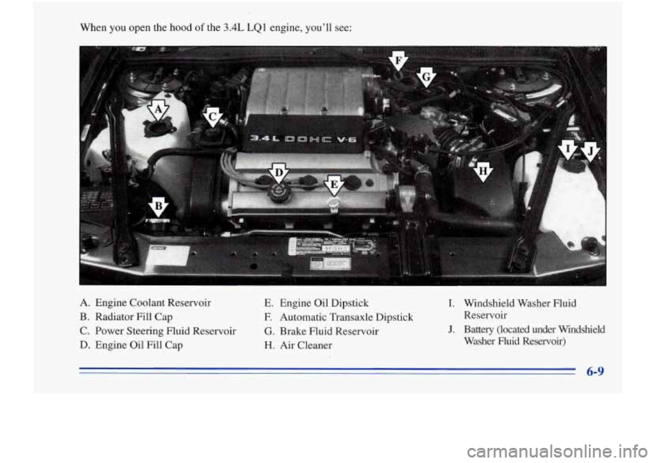 Oldsmobile Cutlass Supreme 1996 Owners Manuals When you open the hood of the 3.4L LQ 1 engine, youll see:
A. Engine Coolant Reservoir
B. Radiator Fill Cap
C. Power Steering Fluid Reservoir
D. Engine Oil Fill Cap
E. Engine Oi Oldsmobile Cutlass Supreme 1996 Owners Manuals When you open the hood of the 3.4L LQ 1 engine, youll see:
A. Engine Coolant Reservoir
B. Radiator Fill Cap
C. Power Steering Fluid Reservoir
D. Engine Oil Fill Cap
E. Engine Oi