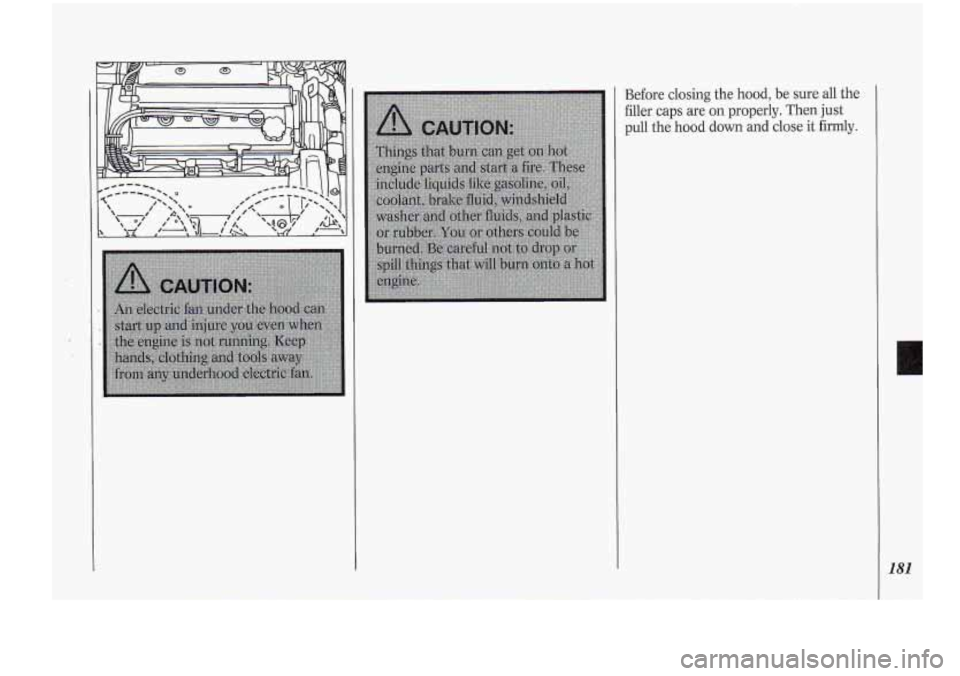 Oldsmobile Cutlass Supreme 1994 Owners Manuals Before closing the hood, be sure all the
filler caps are on properly.
Then just
pull the hood down and close it firmly.
181 Oldsmobile Cutlass Supreme 1994 Owners Manuals Before closing the hood, be sure all the
filler caps are on properly.
Then just
pull the hood down and close it firmly.
181