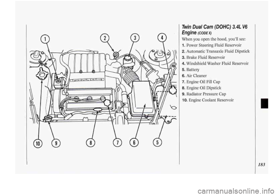 Oldsmobile Cutlass Supreme 1994  Owners Manuals Twin Dual  Cam (DOHC) 3.4L V6 
Engine (CODE x) 
When  you open the hood,  you’ll see: 
1. Power  Steering  Fluid  Reservoir 
2. Automatic Transaxle  Fluid  Dipstick 
3. Brake  Fluid  Reservoir 
4. W