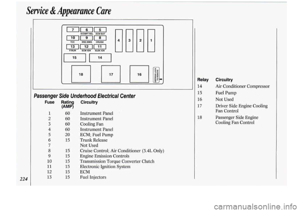 Oldsmobile Cutlass Supreme 1994  s User Guide Service & Appearance,  Care 
1 224 
Passenger Side  Underhood  Electrical  Center 
Fuse Ratin  Circuitry 
(AMP7 
1 
2 
3 
4 
5 
6 
7 
8 
9 
10 
11 
12 
13 
60. 
60 
60 
60 
20 
15 
15 
15 
15 
15 
1-5