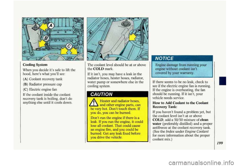 Oldsmobile Cutlass Supreme 1993  Owners Manuals Cooling  System 
When  you  decide it’s safe  to lift  the 
hood,  here’s  what you’ll  see: 
(A) Coolant  recovery  tank 
(B) Radiator pressure cap 
(C) Electric  engine  fan 
If  the  coolant 