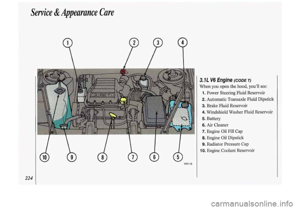 Oldsmobile Cutlass Supreme 1993  Owners Manuals 224 
P P 
3,IL V6 Engine (CODE TI 
When  you open the hood,  you’ll  see: 
1. Power  Steering  Fluid  Reservoir 
2. Automatic Transaxle  Fluid  Dipstick 
3. Brake  Fluid  Reservoir 
4. Windshield  W