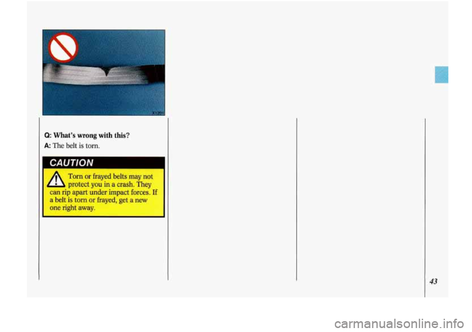 Oldsmobile Cutlass Supreme 1993  s Service Manual I 
Q: What’s wrong with this? 
A The belt is torn. 
CAUTION 
A 
Torn  or  frayed  belts may not 
protect  you in a crash.  They 
can rip  apart under  impact  forces.  If 
a  belt 
is torn  or  fray