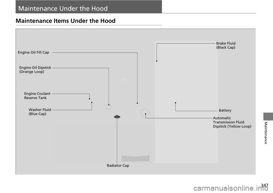 Acura RDX 2016  Owners Manual 347
Maintenance
Maintenance Under the Hood
Maintenance Items Under the Hood
Brake Fluid 
(Black Cap)
Engine Coolant 
Reserve Tank
Radiator Cap
Washer Fluid 
(Blue Cap)
Engine Oil Dipstick 
(Orange Loo