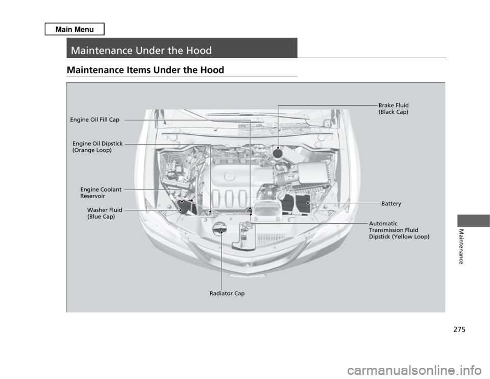 Acura RDX 2013  Owners Manual 275Maintenance
Maintenance Under the HoodMaintenance Items Under the Hood
Brake Fluid 
(Black Cap)
Engine Coolant 
Reservoir
Radiator Cap
Washer Fluid 
(Blue Cap)
Engine Oil Dipstick 
(Orange Loop)
En