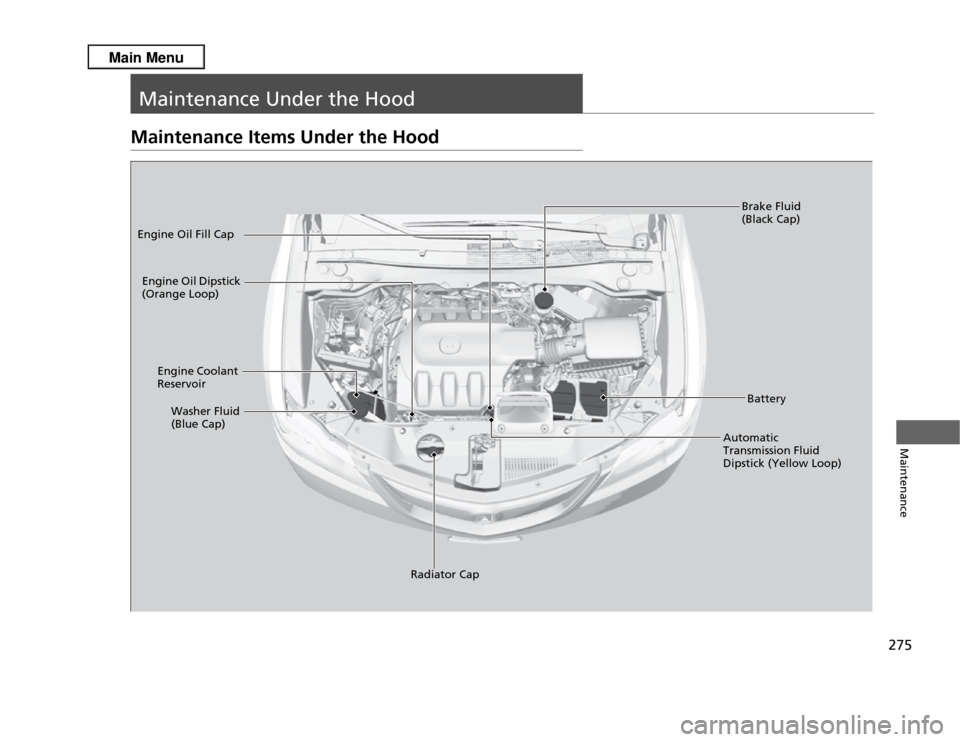 Acura RDX 2013  Owners Manual 275Maintenance
Maintenance Under the HoodMaintenance Items Under the Hood
Brake Fluid 
(Black Cap)
Engine Coolant 
Reservoir
Radiator Cap
Washer Fluid 
(Blue Cap)
Engine Oil Dipstick 
(Orange Loop)
En