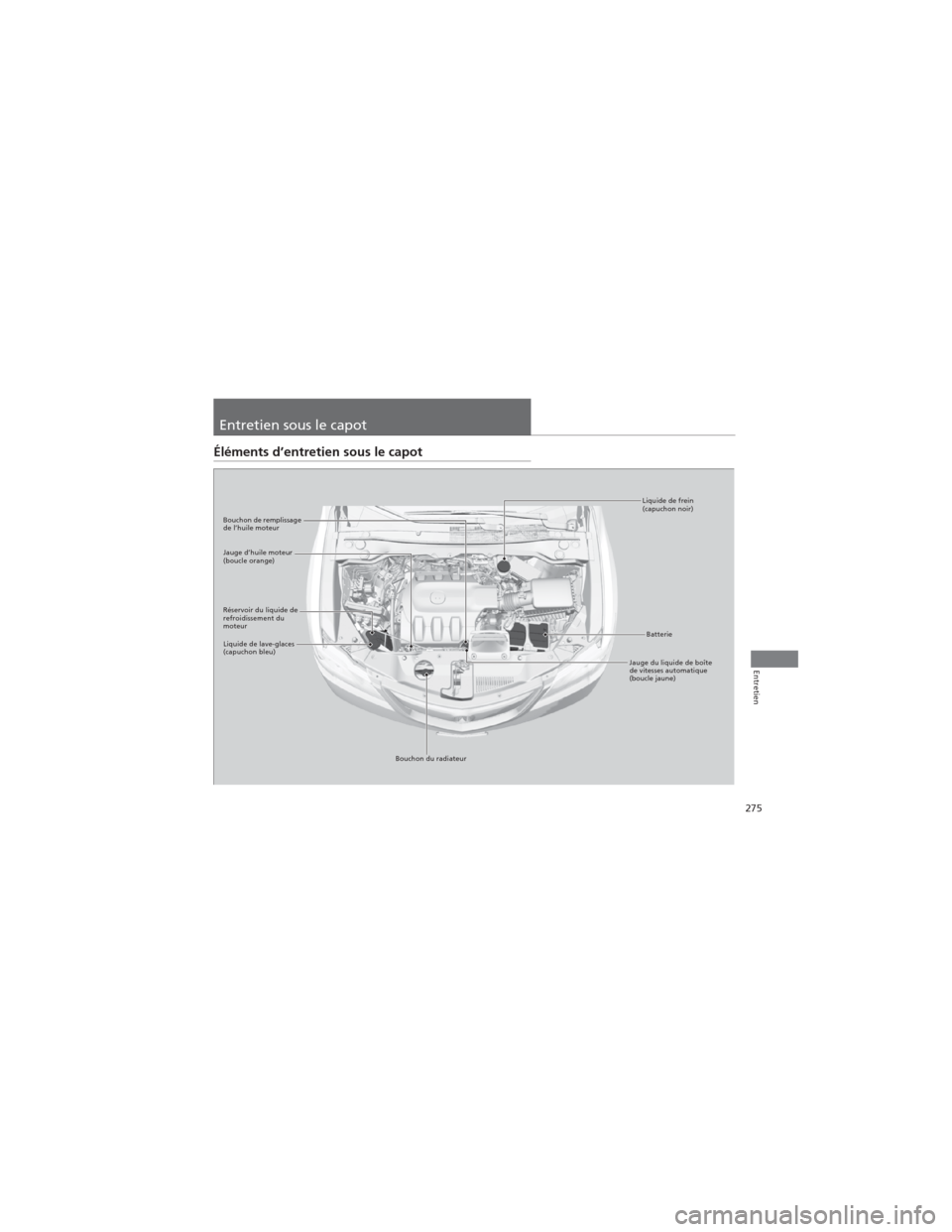 Acura RDX 2013  Manuel du propriétaire (in French) 275
Entretien
Entretien sous le capot
Éléments d’entretien sous le capot
Liquide de frein 
(capuchon noir)
Réservoir du liquide de 
refroidissement du 
moteur
Bouchon du radiateur
Liquide de lave
