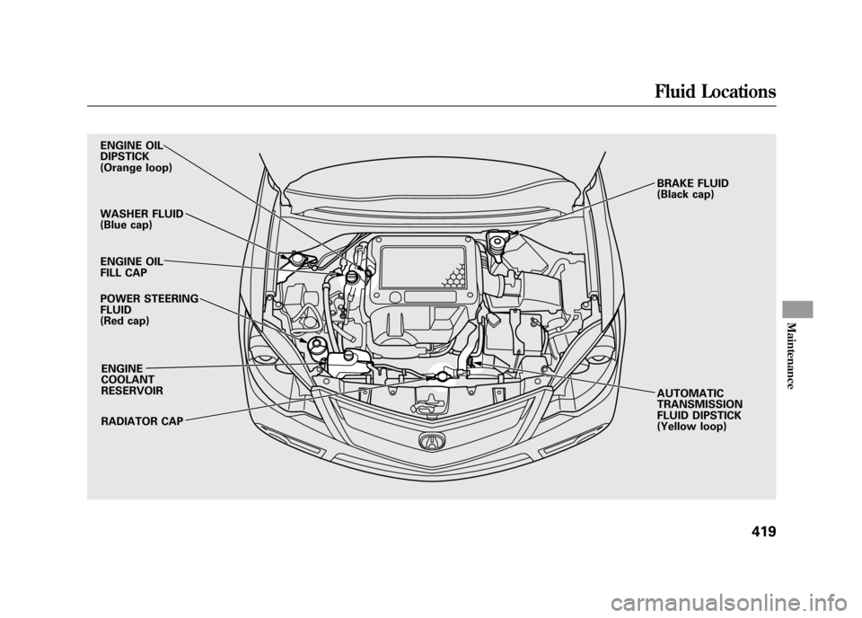 Acura RDX 2012  Owners Manual ENGINE OIL
DIPSTICK
(Orange loop)
WASHER FLUID
(Blue cap)
POWER STEERING
FLUID
(Red cap)ENGINE
COOLANT
RESERVOIR
RADIATOR CAP BRAKE FLUID
(Black cap)
AUTOMATIC
TRANSMISSION
FLUID DIPSTICK
(Yellow loop