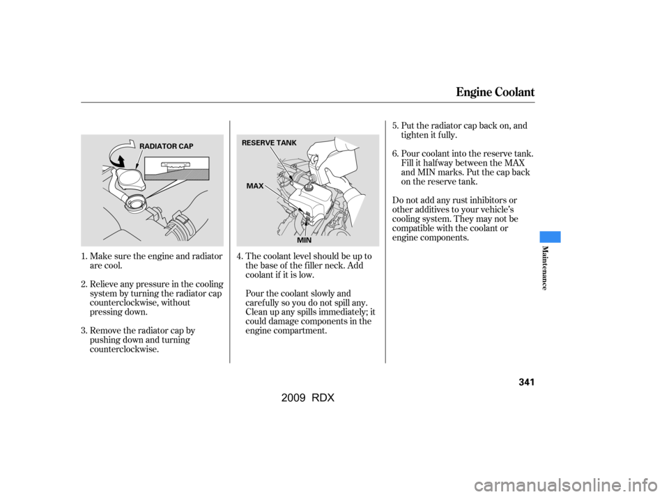 Acura RDX 2009  Owners Manual The coolant level should be up to 
the base of the f iller neck. Add
coolant if it is low.Do not add any rust inhibitors or
other additives to your vehicle’s
cooling system. They may not be
compatib