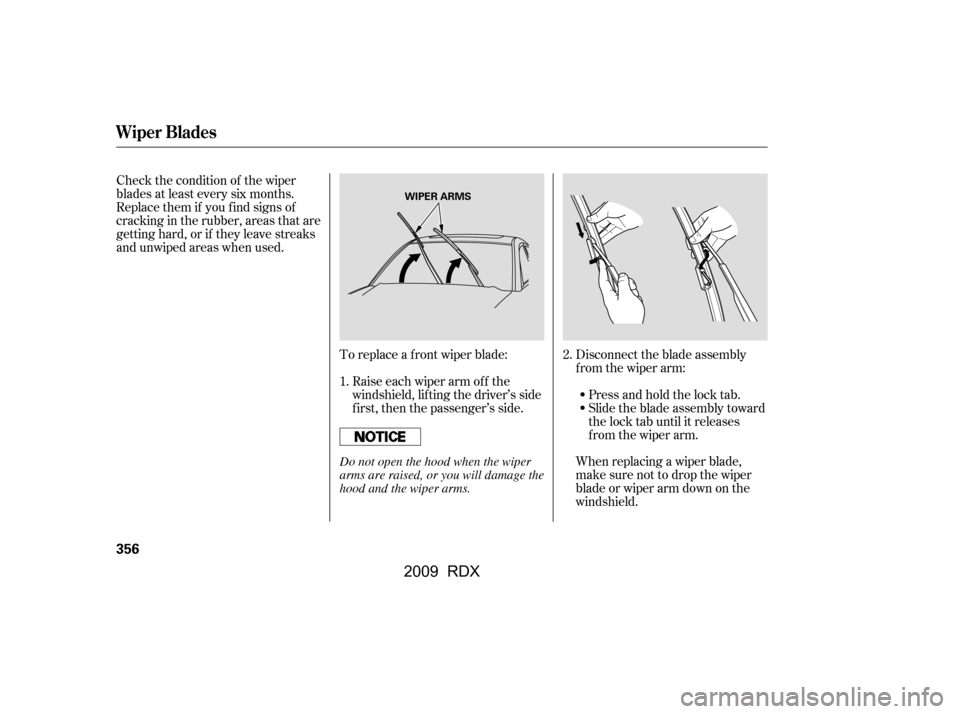 Acura RDX 2009  Owners Manual To replace a f ront wiper blade: Disconnect the blade assemblyfrom the wiper arm:
Raise each wiper arm of f the 
windshield, lif ting the driver’s side 
first, then the passenger’s side.
Check the