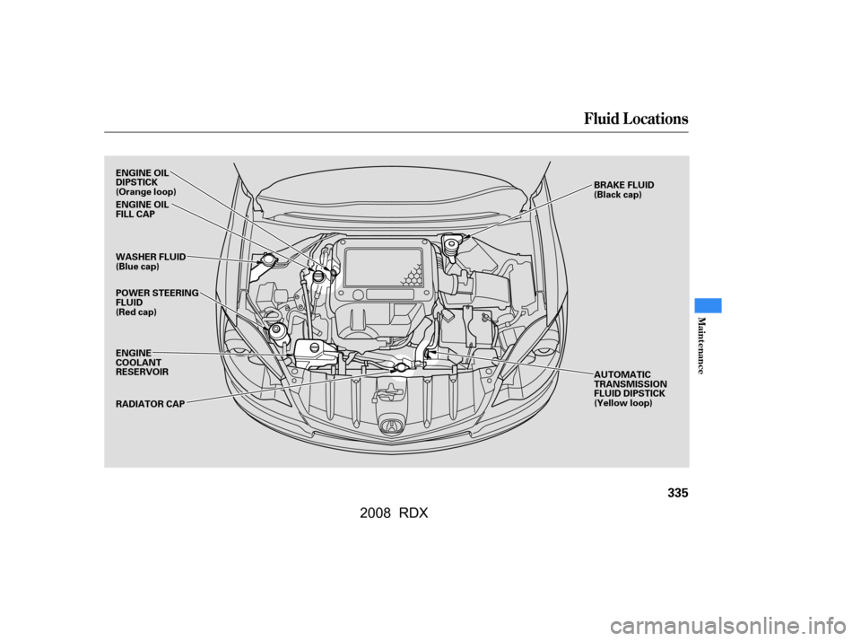 Acura RDX 2008  Owners Manual Fluid Locations
Maint enance
335
AUTOMATIC 
TRANSMISSION
FLUID DIPSTICK
(Yellow loop)
BRAKE FLUID
(Black cap)
ENGINE OIL
DIPSTICK
(Orange loop) 
ENGINE OIL 
FILL CAP 
WASHER FLUID 
(Blue cap) 
POWER S