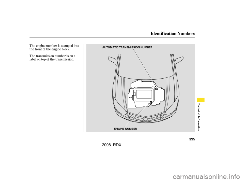Acura RDX 2008  Owners Manual The transmission number is on a 
label on top of the transmission. 
The engine number is stamped into 
the f ront of the engine block.
Identif ication Numbers
Technical Inf ormation
395
AUTOMATIC TRAN