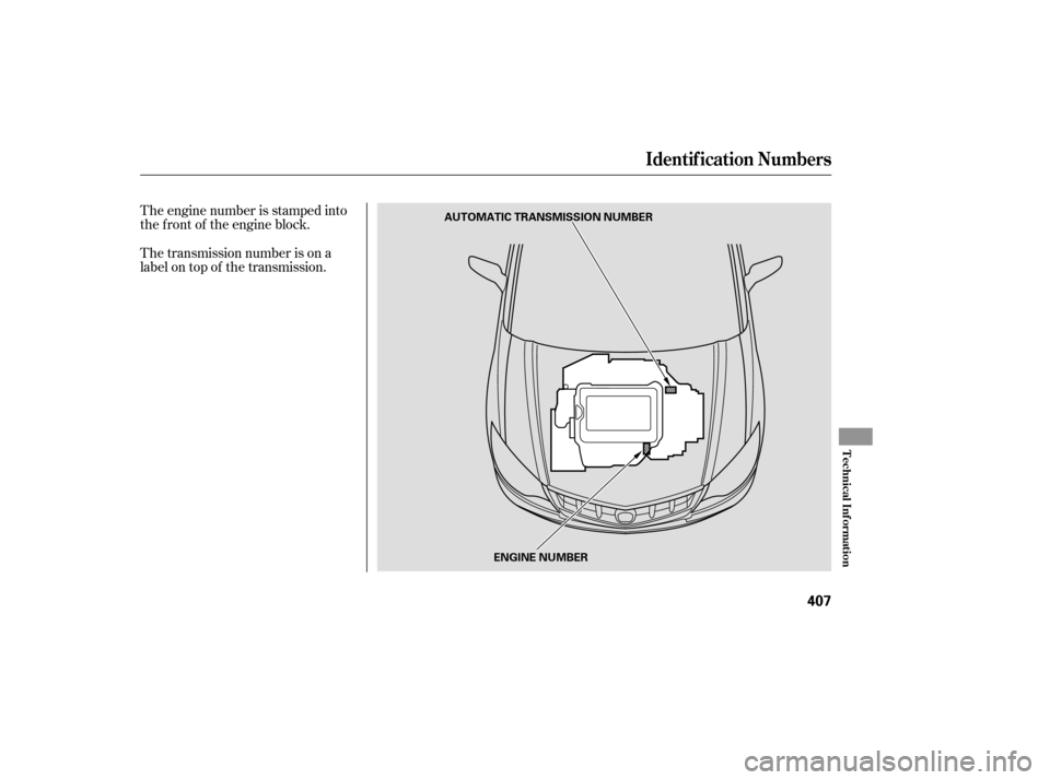 Acura RDX 2007  Owners Manual The transmission number is on a
label on top of the transmission. The engine number is stamped into
the f ront of the engine block.
Identif ication Numbers
Technical Inf ormation
407
AUTOMATIC TRANSMI