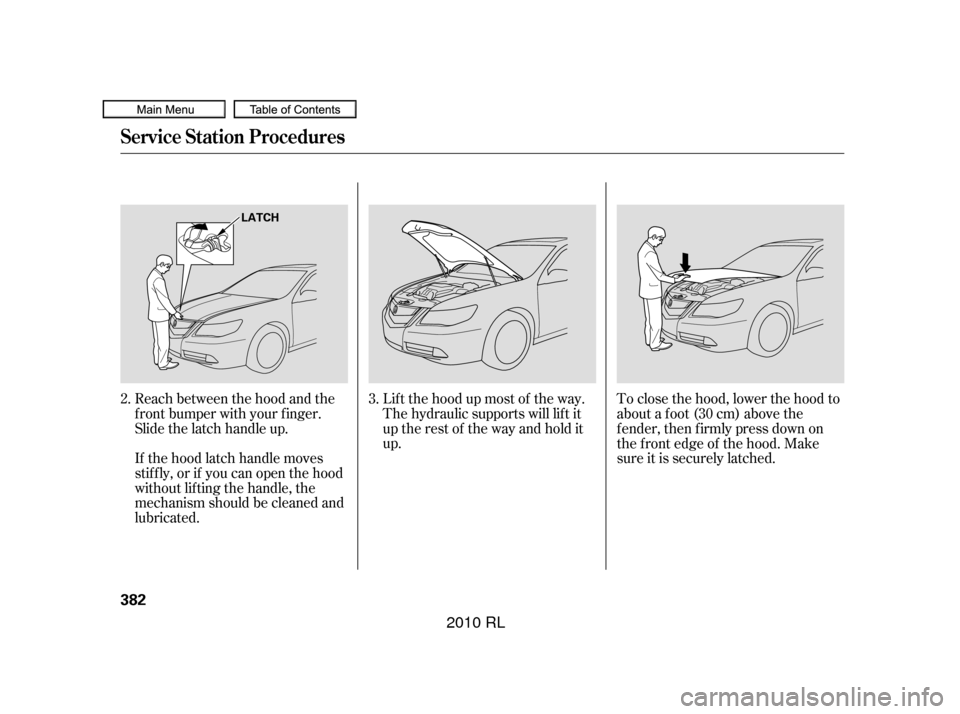 Acura RL 2010  Owners Manual Lif t the hood up most of the way.
The hydraulic supports will lif t it
uptherestof thewayandholdit
up.
If the hood latch handle moves
stif f ly, or if you can open the hood
without lifting the handle