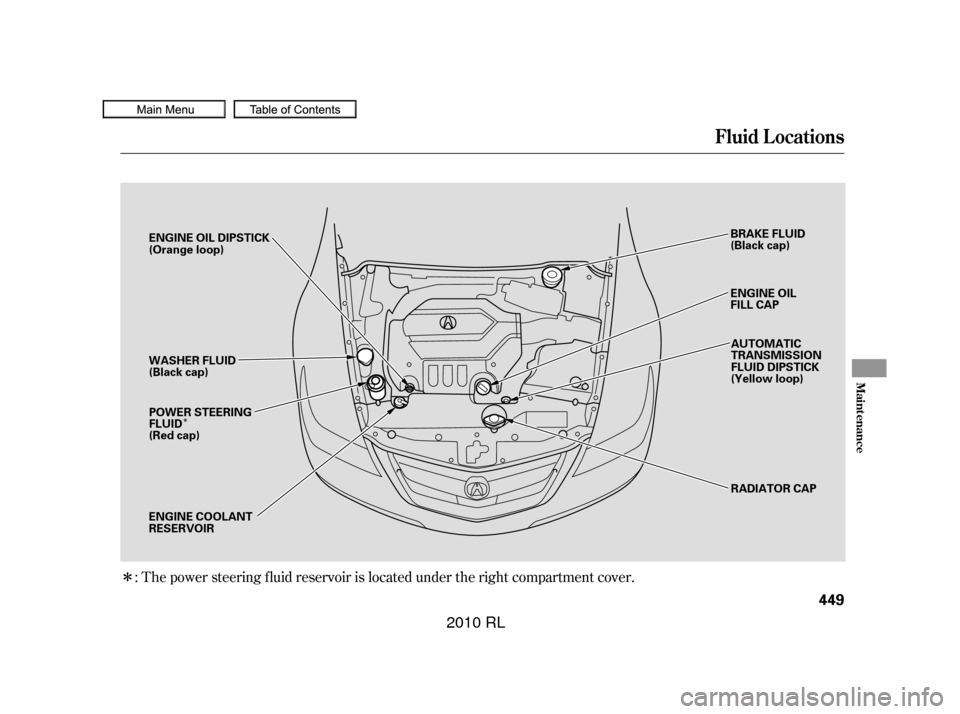 Acura RL 2010  Owners Manual Î
Î: The power steering f luid reservoir is located under the right compartment cover.
Fluid Locations
Maint enance
449
RADIATOR CAP
ENGINE OIL
FILL CAP
ENGINE OIL DIPSTICK
(Orange loop)
AUTOMATIC