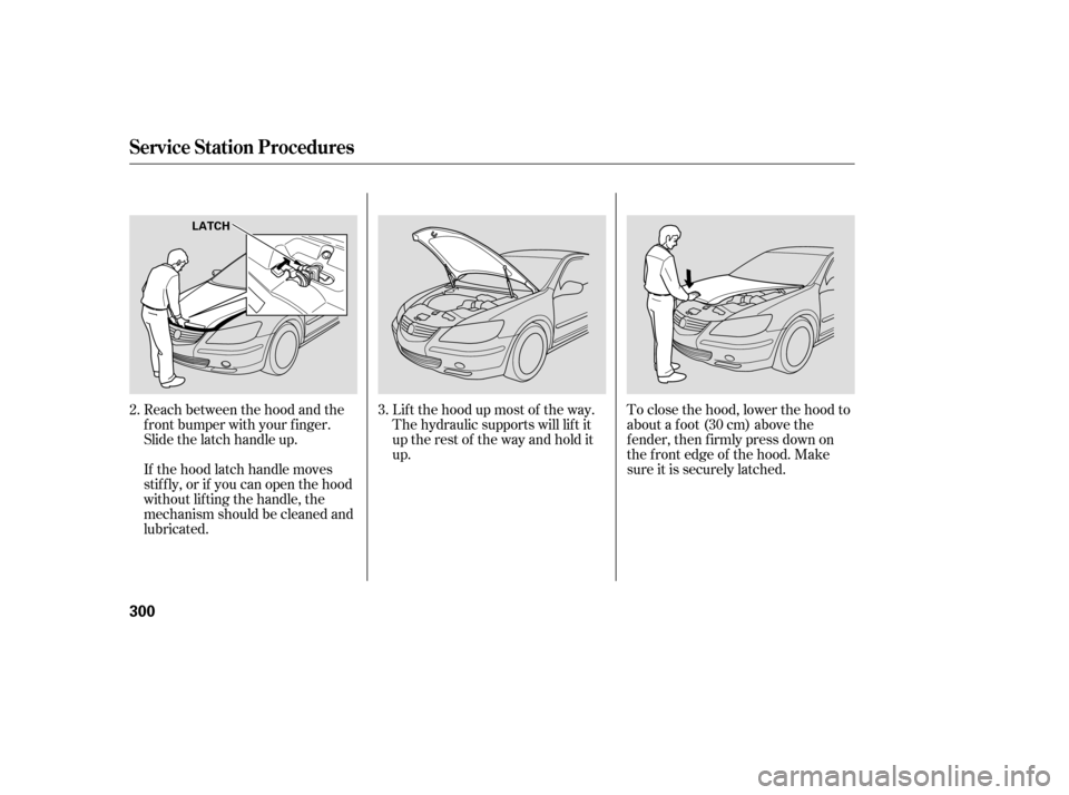 Acura RL 2006 Owners Guide Lif t the hood up most of the way.
The hydraulic supports will lif t it
uptherestof thewayandholdit
up.
If the hood latch handle moves
stif f ly, or if you can open the hood
without lifting the handle