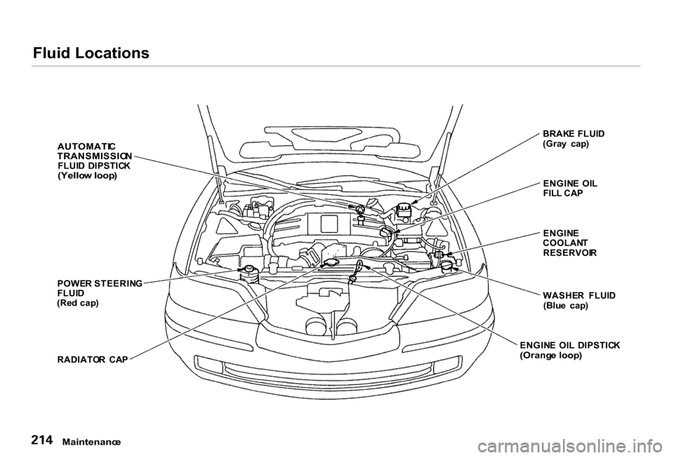 Acura RL 2000  3.5 Owners Manual 
Fluid Locations

AUTOMATI C

TRANSMISSIO N

FLUI D  DIPSTIC K

(Yello w loop )

POWE R STEERIN G
FLUI D
(Re d cap )
RADIATO R  CA P BRAK
E FLUI D
(Gra y  cap )
ENGIN E  OI L
FIL L CA P
ENGIN E
COOLAN