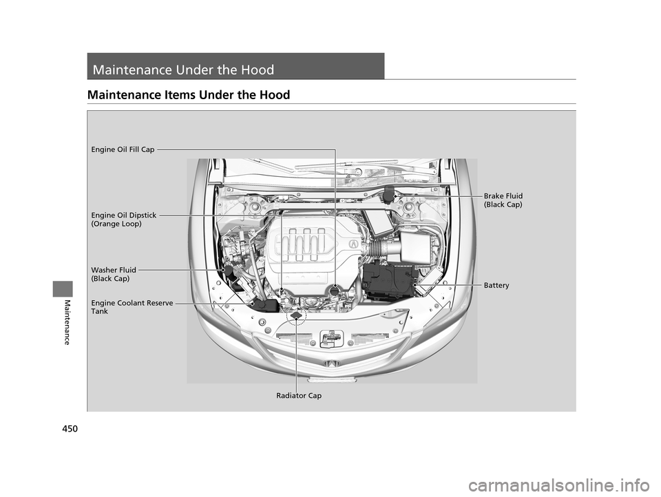 Acura RLX 2017 Owners Manual 450
Maintenance
Maintenance Under the Hood
Maintenance Items Under the Hood
Brake Fluid
(Black Cap)
Washer Fluid
(Black Cap) Engine Oil Dipstick
(Orange Loop) Engine Oil Fill Cap
Battery
Engine Coo Acura RLX 2017 Owners Manual 450
Maintenance
Maintenance Under the Hood
Maintenance Items Under the Hood
Brake Fluid
(Black Cap)
Washer Fluid
(Black Cap) Engine Oil Dipstick
(Orange Loop) Engine Oil Fill Cap
Battery
Engine Coo