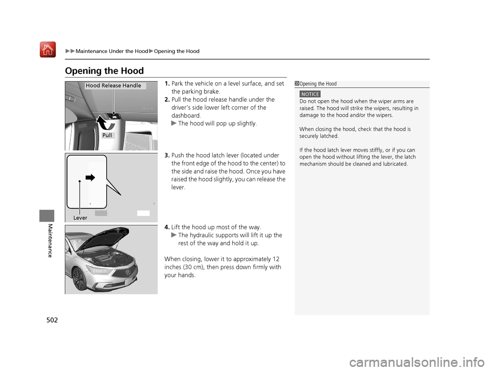 Acura RLX HYBRID 2019 Owners Manual 502
uuMaintenance Under the Hood uOpening the Hood
Maintenance
Opening the Hood
1. Park the vehicle on a level surface, and set
the parking brake.
2. Pull the hood release handle under the
driver’ Acura RLX HYBRID 2019 Owners Manual 502
uuMaintenance Under the Hood uOpening the Hood
Maintenance
Opening the Hood
1. Park the vehicle on a level surface, and set
the parking brake.
2. Pull the hood release handle under the
driver’
