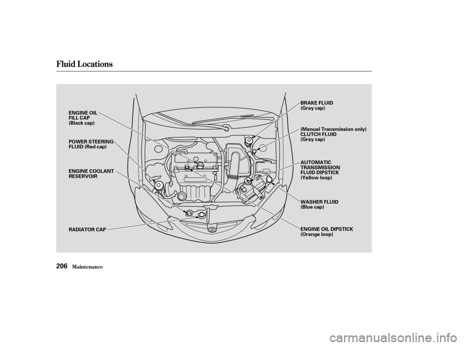 Acura RSX 2003 User Guide Fluid Locations
Maint enance206
ENGINE OIL
FILL CAP
(Black cap)POWER STEERING
FLUID (Red cap)
ENGINE COOLANT
RESERVOIR
RADIATOR CAP BRAKE FLUID
(Gray cap)
(Manual Transmission only)
CLUTCH FLUID
(Gray