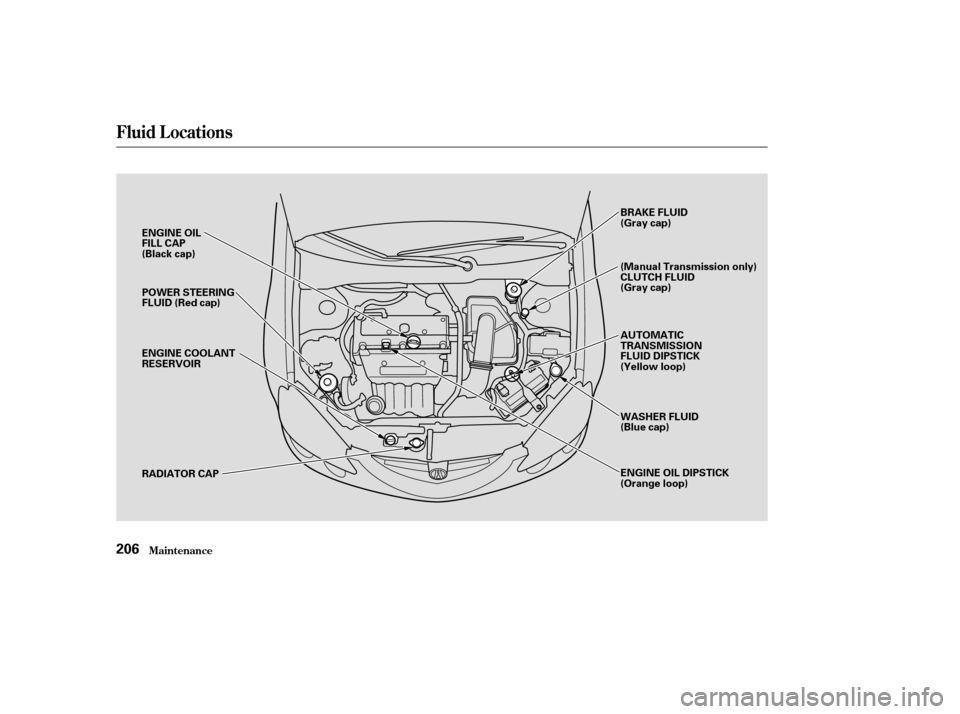 Acura RSX 2003  Owners Manual Fluid Locations
Maint enance206
ENGINE OIL
FILL CAP
(Black cap)POWER STEERING
FLUID (Red cap)
ENGINE COOLANT
RESERVOIR
RADIATOR CAP BRAKE FLUID
(Gray cap)
(Manual Transmission only)
CLUTCH FLUID
(Gray