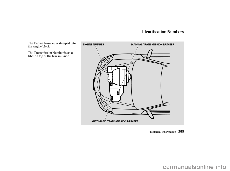 Acura RSX 2003 Manual PDF The Engine Number is stamped into
the engine block.
The Transmission Number is on a
label on top of the transmission.
Identif ication Numbers
T echnical Inf ormation289
ENGINE NUMBERMANUAL TRANSMISSIO