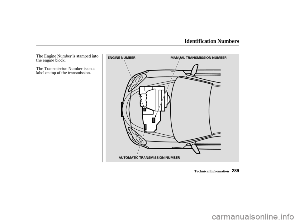 Acura RSX 2003 Owners Guide The Engine Number is stamped into
the engine block.
The Transmission Number is on a
label on top of the transmission.
Identif ication Numbers
T echnical Inf ormation289
ENGINE NUMBERMANUAL TRANSMISSIO