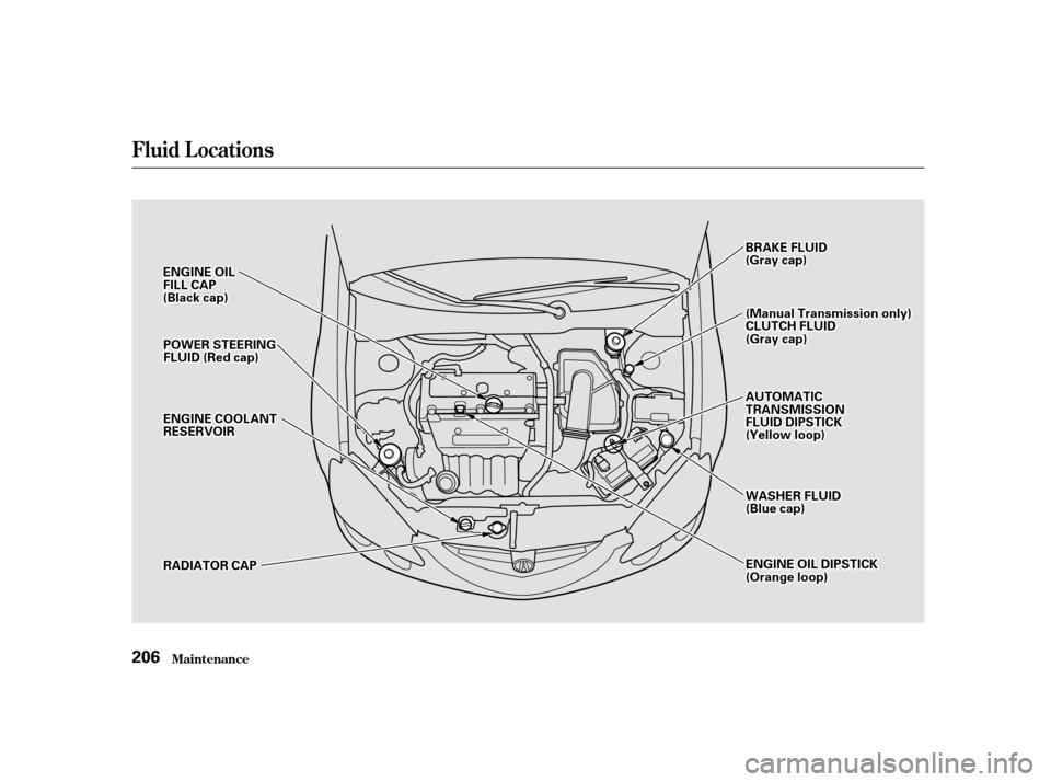 Acura RSX 2002  Owners Manual Fluid Locations
Maint enance206
E
EN
NG GIINNE E O
OIILL
F
FI ILLL L C
CAA P
P
(
( B
Bl laac ckk c
caap p )
) B
BR
RAA K
KEE F
FLLUUI IDD
(
( G
Gr raay y c
caap p )
)
R
RA A D
DI
IAA T
TO
OR R C
CAA P
