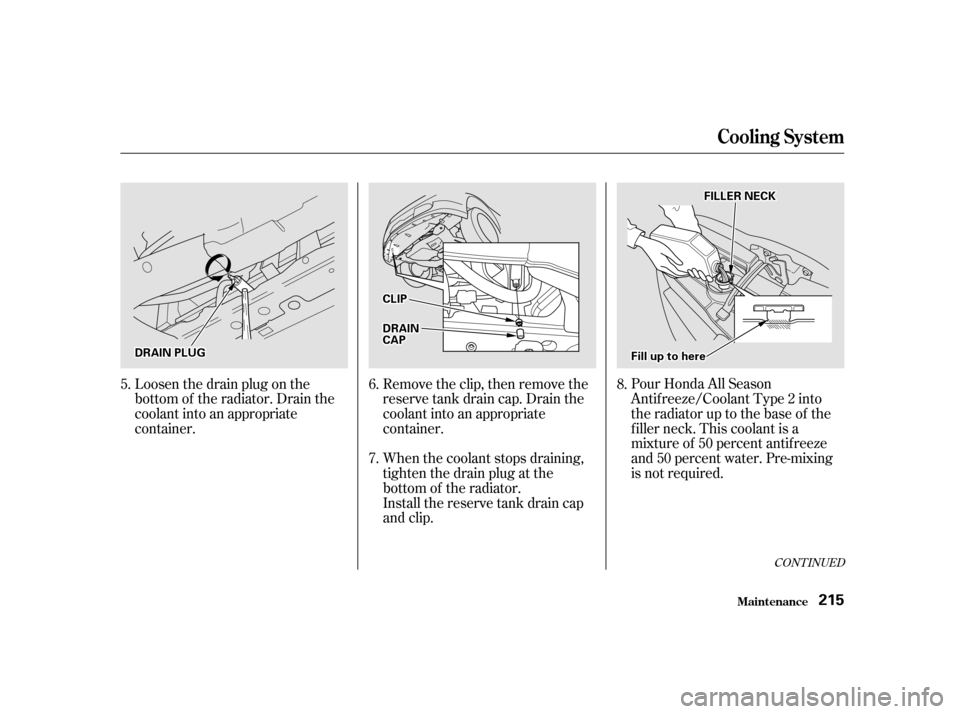 Acura RSX 2002  Owners Manual CONT INUED
Pour Honda All Season
Antif reeze/Coolant Type 2 into
the radiator up to the base of the
f iller neck. This coolant is a
mixture of 50 percent antif reeze
and 50 percent water. Pre-mixing
i