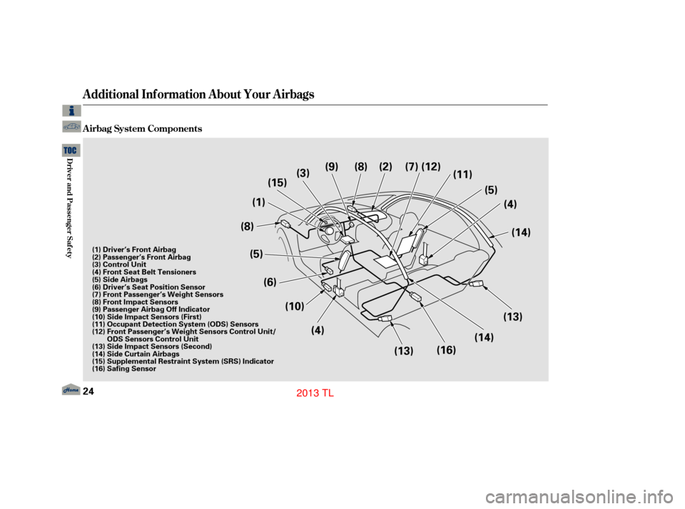 Acura TL 2013  Owners Manual A irbag System Components
Additional Inf ormation About Your Airbags
24
(1)(3)
(8)
(4)
(5)
(15) (2)
(11)
(14)
(13)
(14)
(16)
(13)
(4)
(10)
(5)
(8)
(6) (9)
(7) (12)
(1) Driver’s Front Airbag
(2) Pass