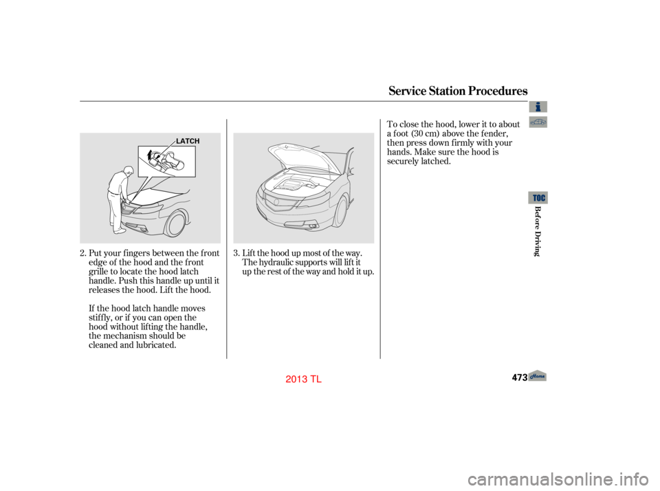 Acura TL 2013  Owners Manual Lift the hood up most of the way.
The hydraulic supports will lift it
up the rest of the way and hold it up.
If the hood latch handle moves
stiffly, or if you can open the
hood without lifting the han